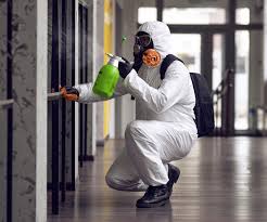 Best Emergency Mold Remediation  in Galena, KS